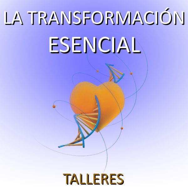 Talleres · Workshops: La Transformación Esencial